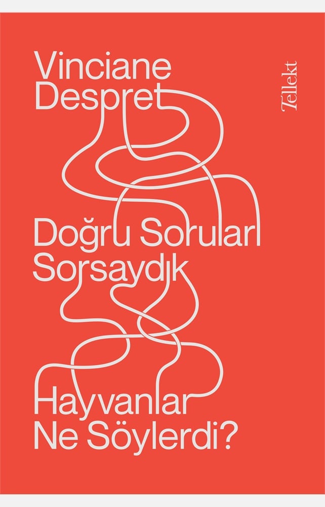 Can Yayınları