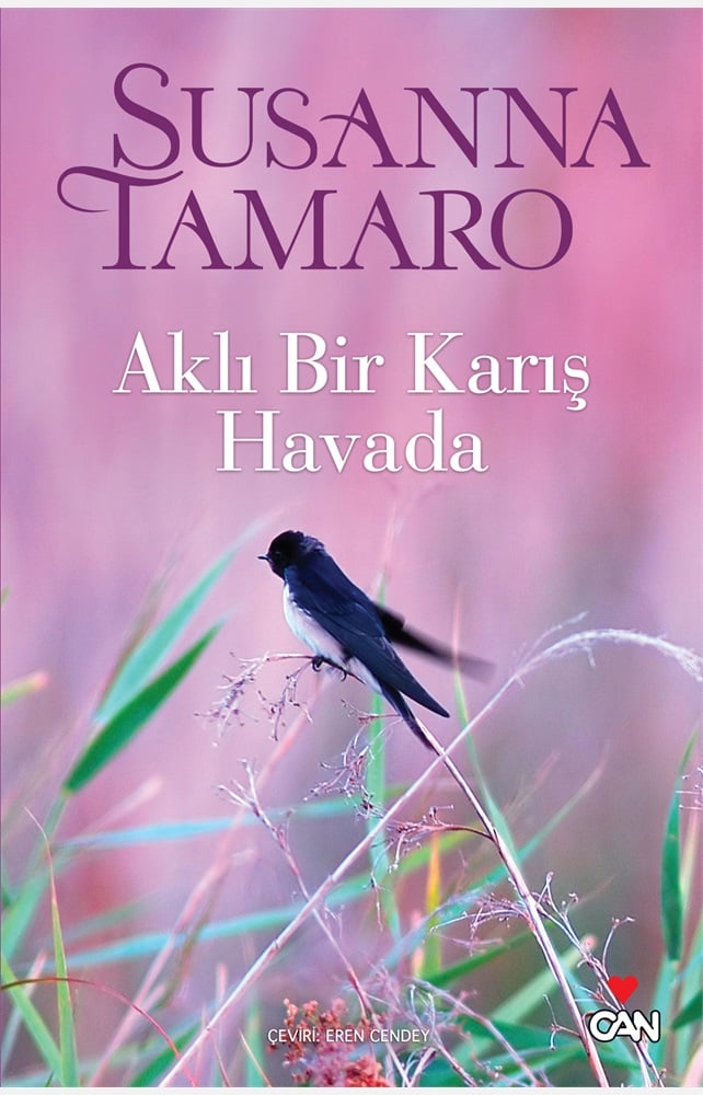Can Yayınları