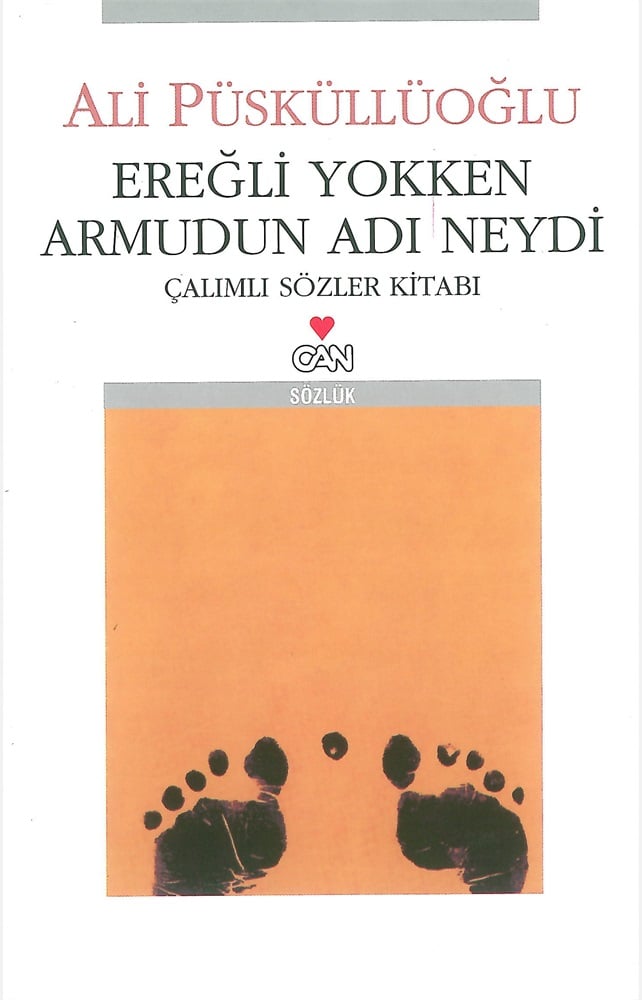 Can Yayınları