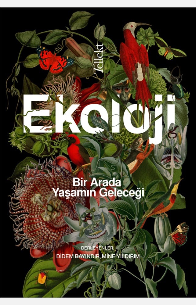 Can Yayınları