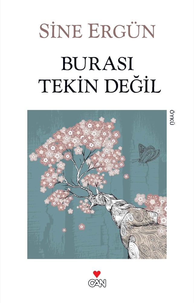 Can Yayınları