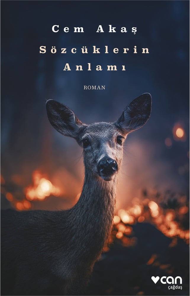 Can Yayınları