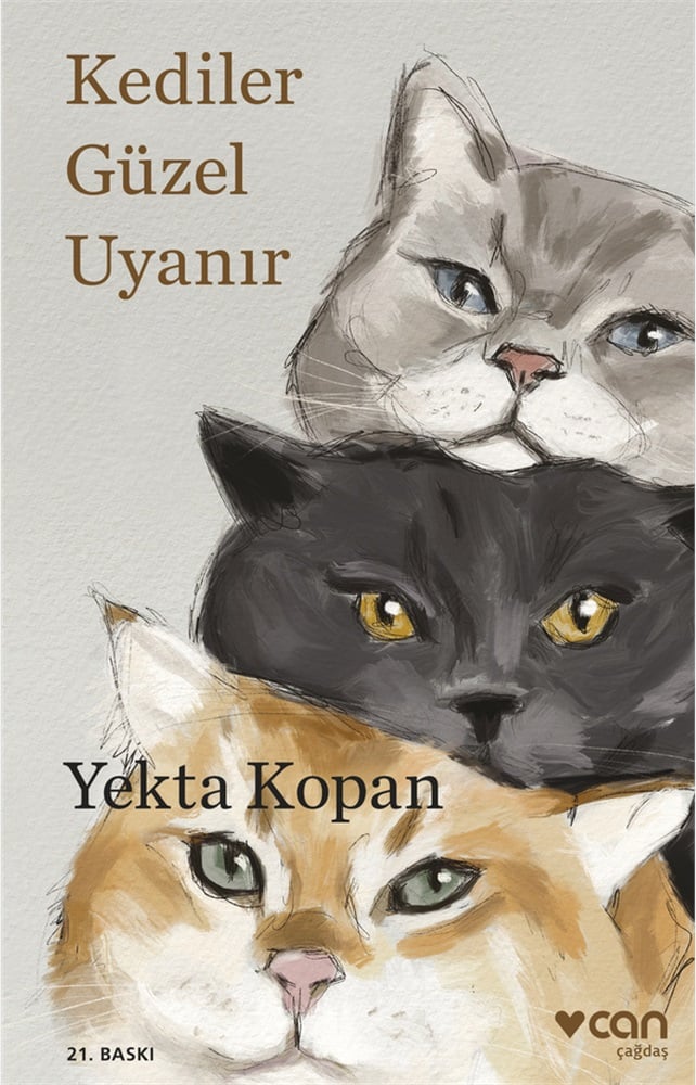 Can Yayınları