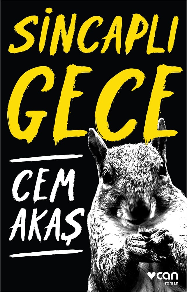 Can Yayınları