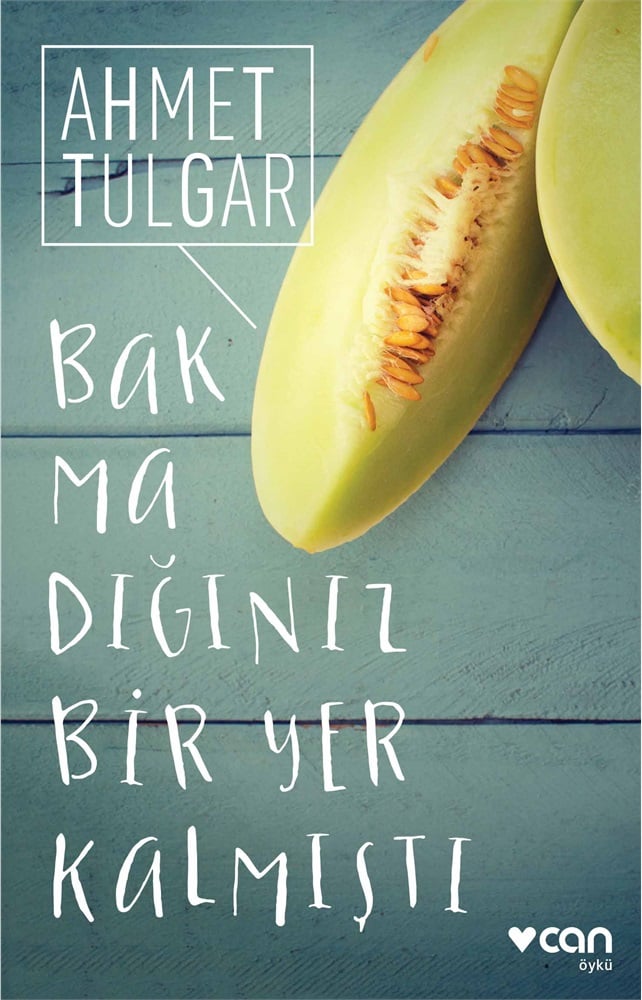 Can Yayınları