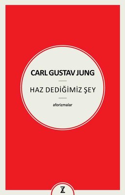 CARL GUSTAV JUNG HAZ DEDİĞİMİZ ŞEY ZEPLİN