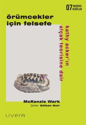 Örümcekler İçin Felsefe Kathy Acker ın Alçak Teorisine Dair