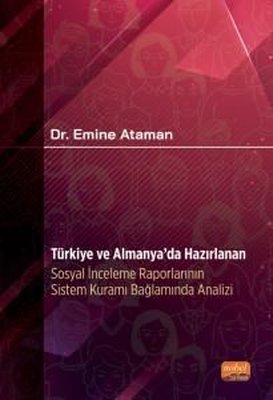 Türkiye ve Almanya da Hazırlanan Sosyal İnceleme Raporlarının Sistem Kuramı Bağlamında Analizi