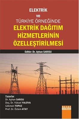 Elektrik Dağıtım Hizmetlerinin Özelleştirilmesi
