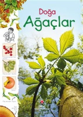 Doğa Ağaçlar