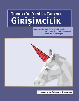 Türkiye de Yenilik Tabanlı Girişimcilik