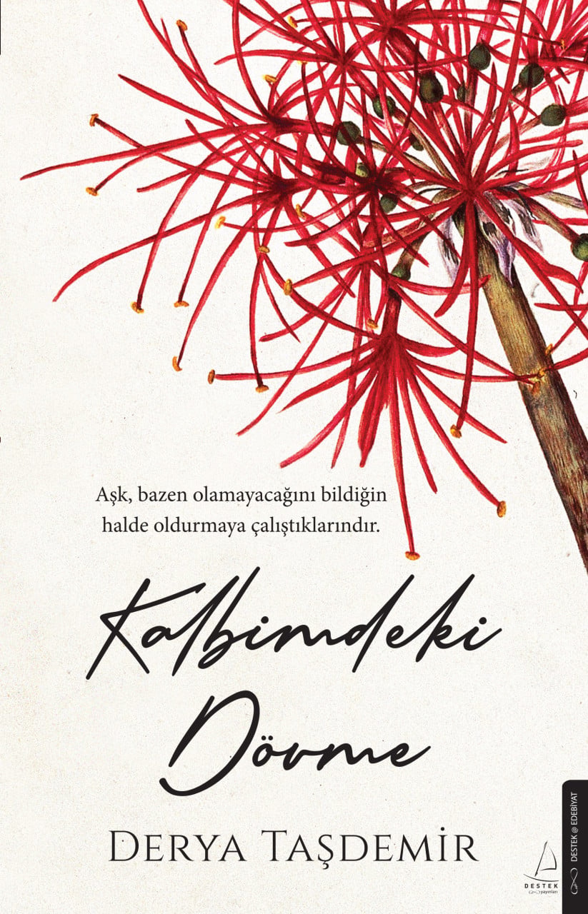 Destek Dükkan