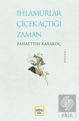 Ekin Kitap