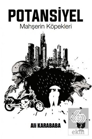 Ekin Kitap