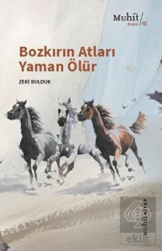 Ekin Kitap