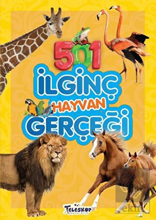 Ekin Kitap