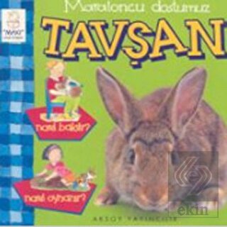 Ekin Kitap