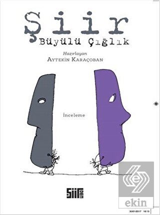 Şiir Büyülü Çığlık