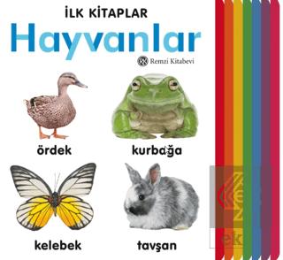 Ekin Kitap