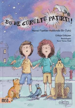 Ekin Kitap