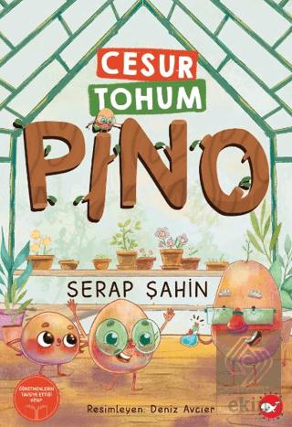 Ekin Kitap