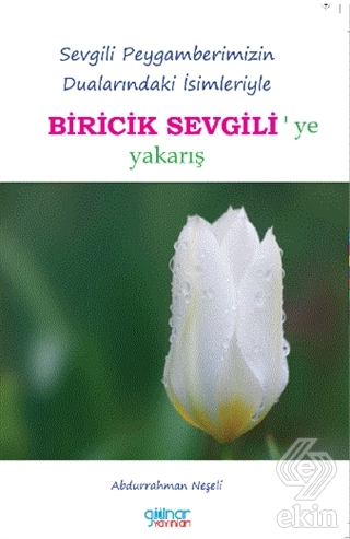 Ekin Kitap