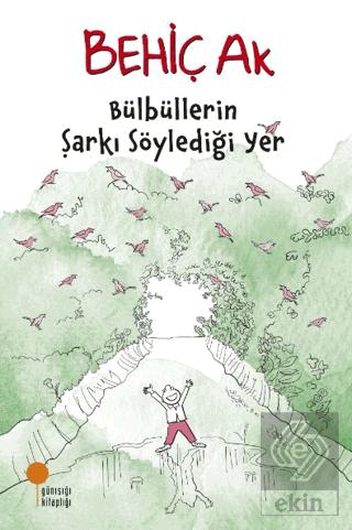 Ekin Kitap