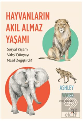 Ekin Kitap