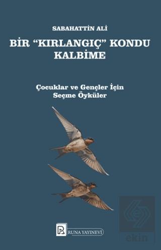Ekin Kitap