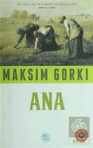 Ana 29 İndirim