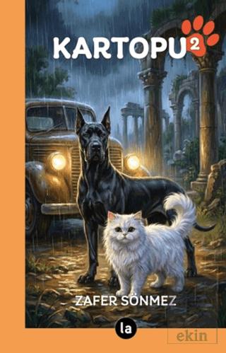 Ekin Kitap