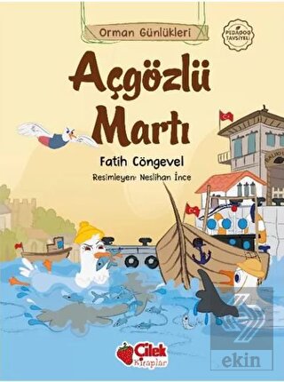 Ekin Kitap