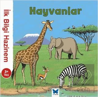 Ekin Kitap