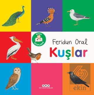 Ekin Kitap