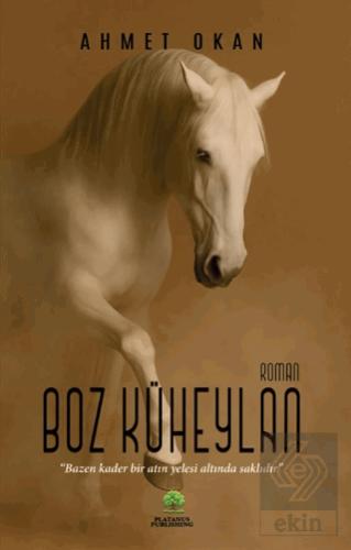 Boz Küheylan