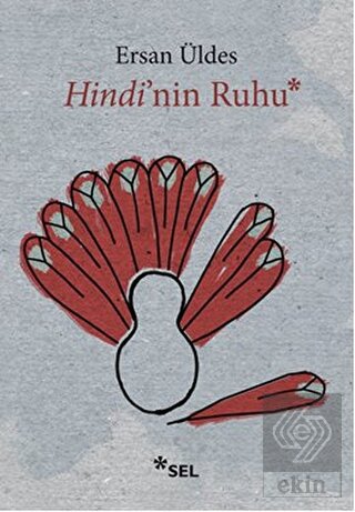 Hindi nin Ruhu