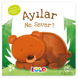 Ayılar Ne Sever