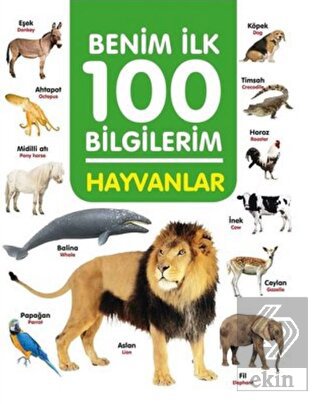 Ekin Kitap