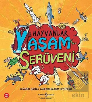 Ekin Kitap