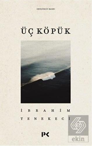 Ekin Kitap