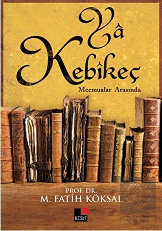 Ekin Kitap