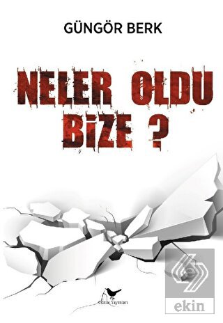 Ekin Kitap