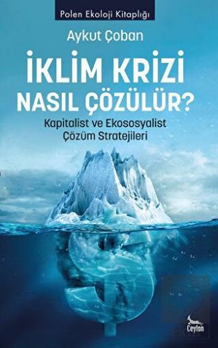 İklim Krizi Nasıl Çözülür Kapitalist ve Ekososyalist Çözüm Stratejileri