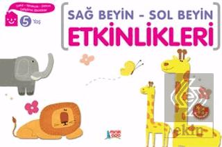 Sağ Beyin Sol Beyin Etkinlikleri 4 Yaş