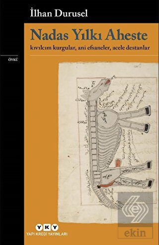 Ekin Kitap