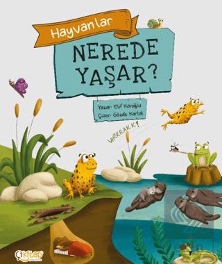 Ekin Kitap