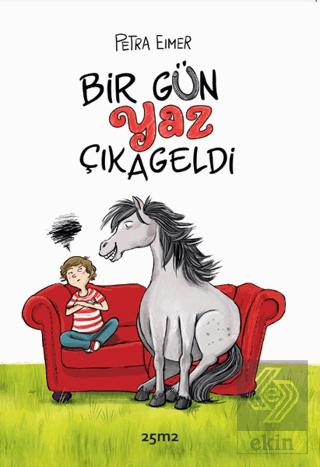 Ekin Kitap