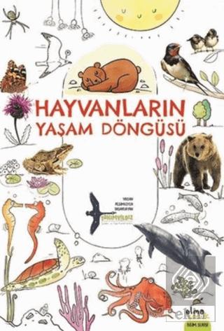 Ekin Kitap