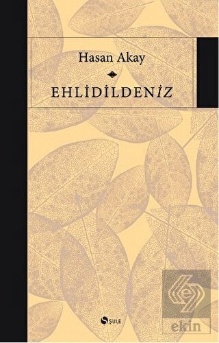 Ekin Kitap