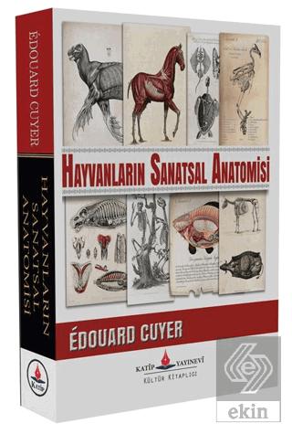 Hayvanların Sanatsal Anatomisi